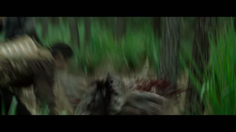 Run! Run! Come on! Climb!