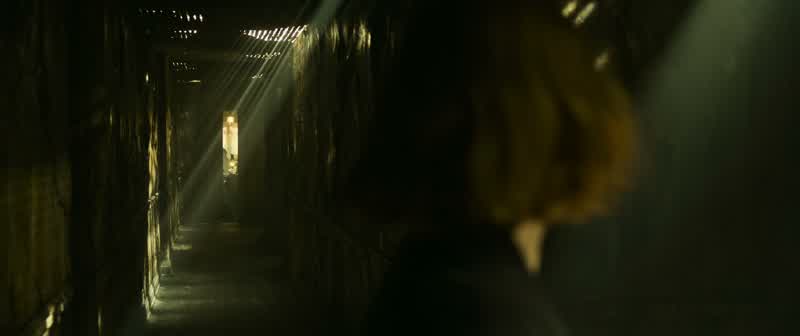 Run runYou haven't changed anything yetYou haven't changed their futuresYou haven't saved any of themClose your eyes BevFuck youIf you don't believeclose themand see