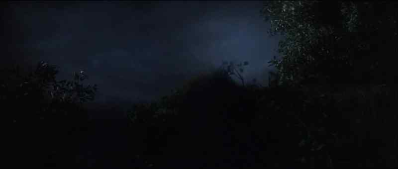 Run