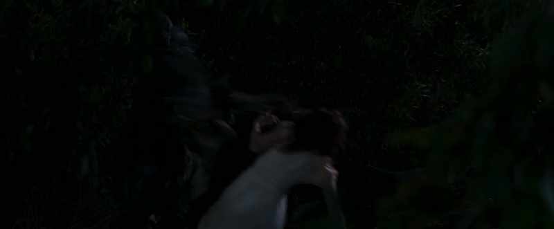 Run, Sarah, run!