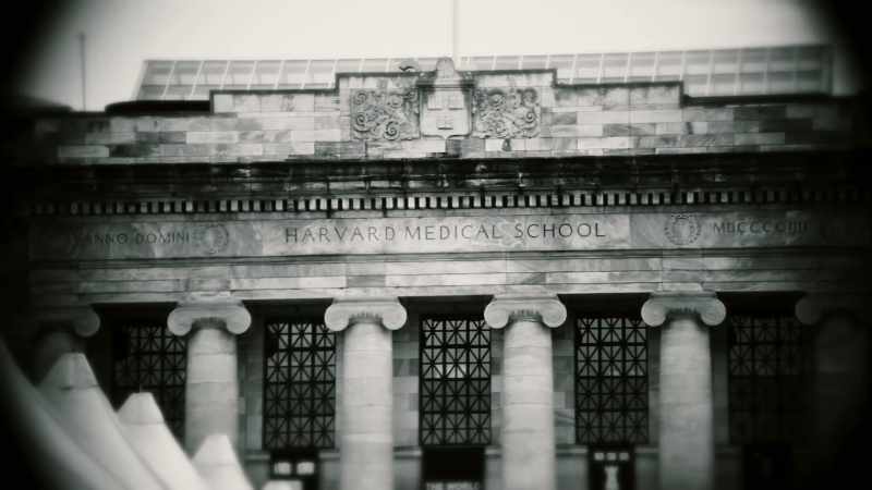 Run through Ivy League schools