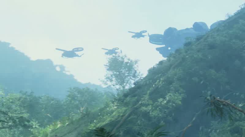 Run to the forest!