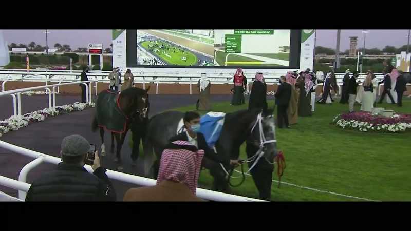 Runners in the paddock for this Red Sea Turf Handicap