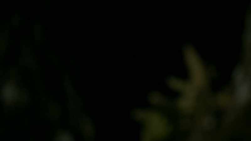 [RUNNING FOOTSTEPS]