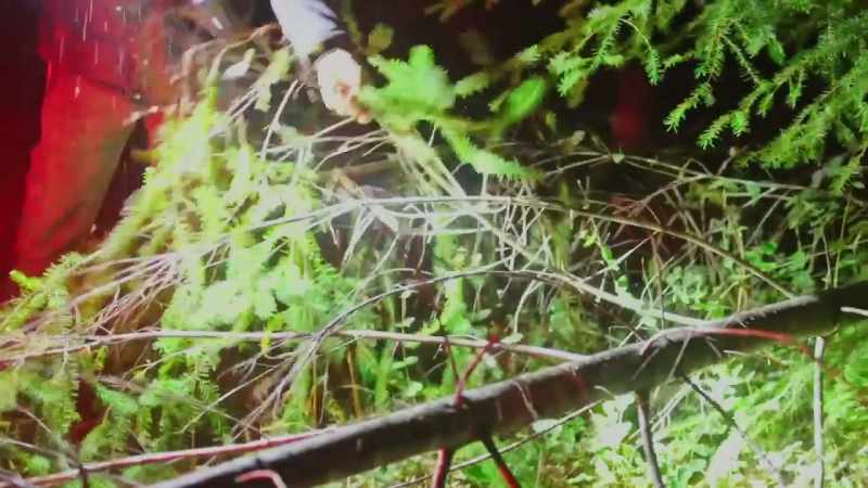 [Russel] No, it's not deadfall