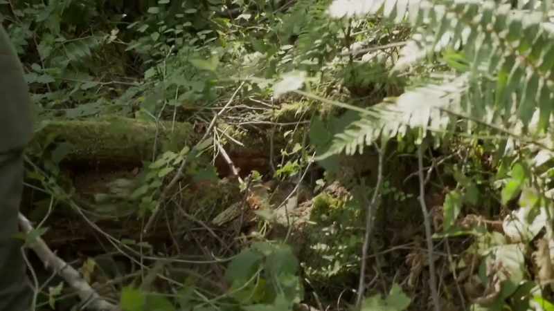 Russell tracked it to a secluded mountain lake