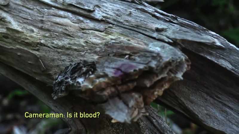 [Russell] We know it bleeds