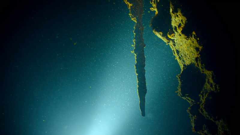 Rusticles look like stalactites and they are part metal and part microbes