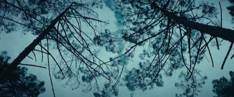(rustling) - (creatures howling)