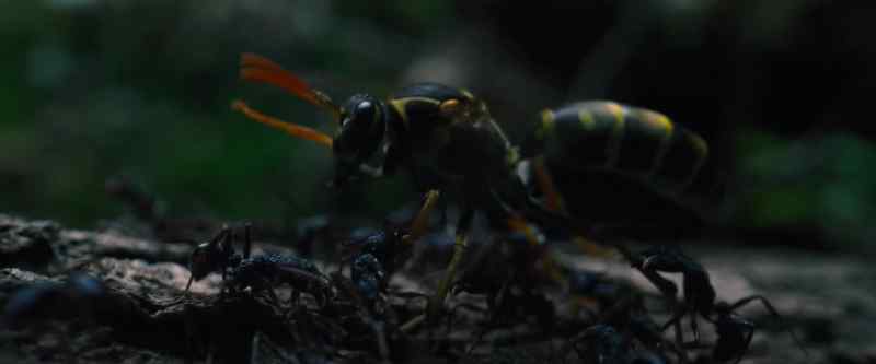 (Rustling, crunching)