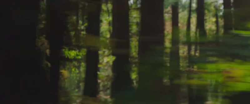 [rustling]