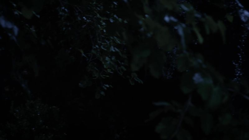 [rustling]