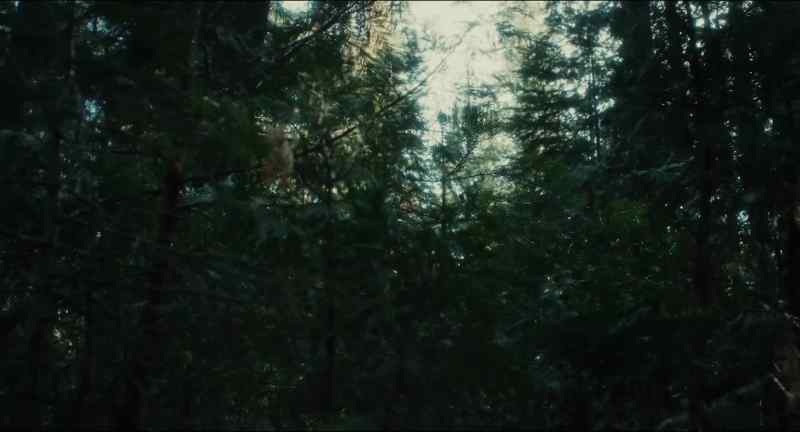 [rustling]