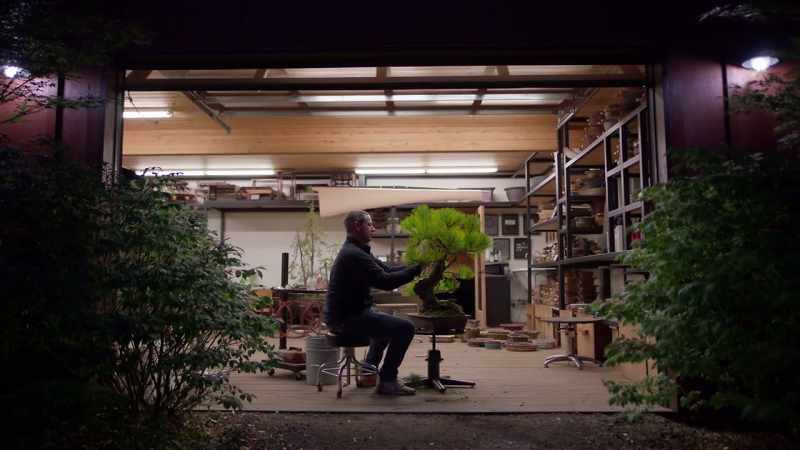Ryan: Being a bonsai professional