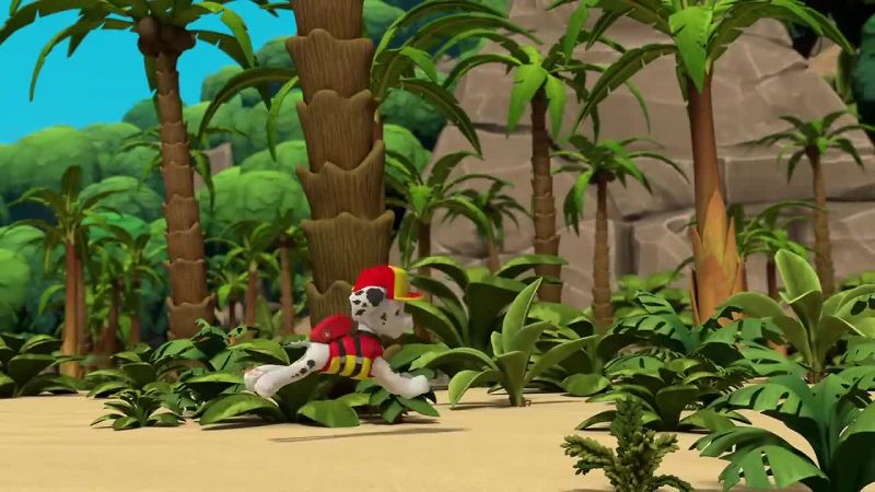 Ryder, we have a raccoon on the run