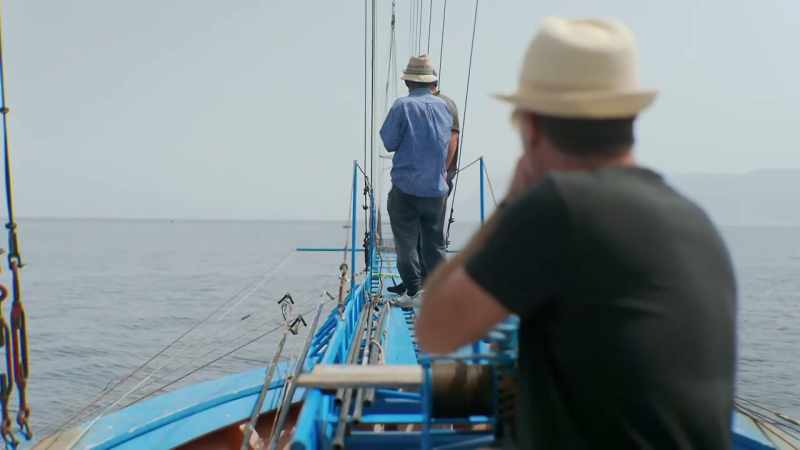 'Sadly, the two swordfish got away