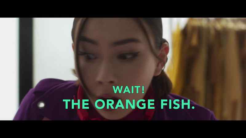 Salmon
