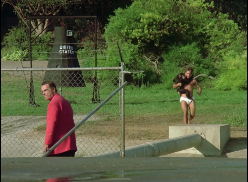 Sam, come on, come on. Hurry up