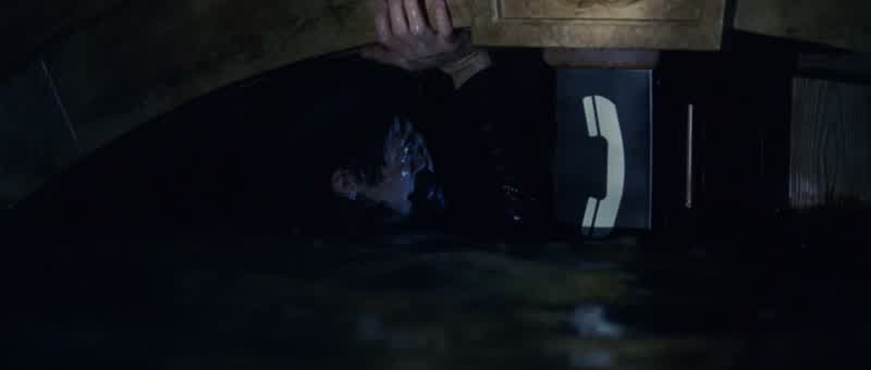 Sam? - Sam, come back! - Sam? - Sam?