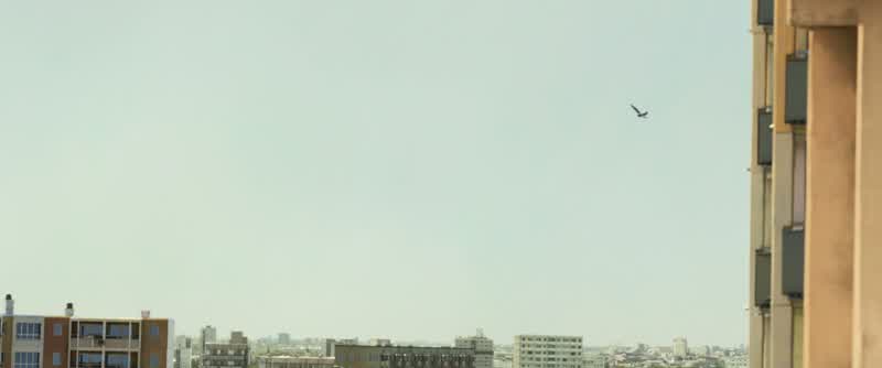 Sam, southwest rooftop