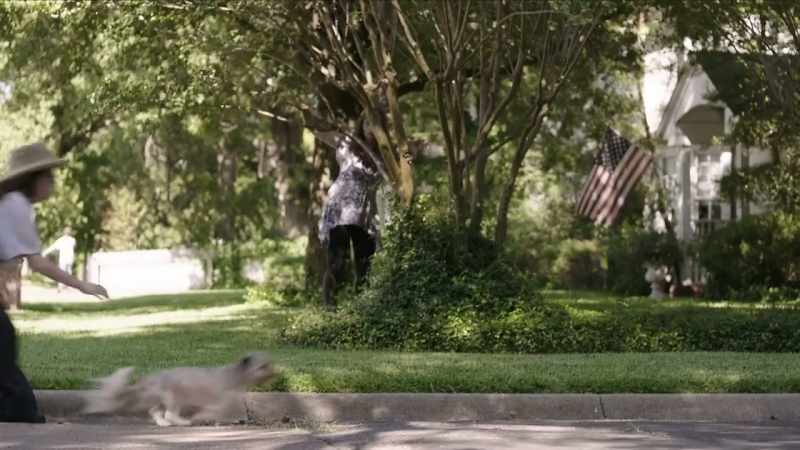 Sam, is that your mailman chasing Mrs. Henry's dog?