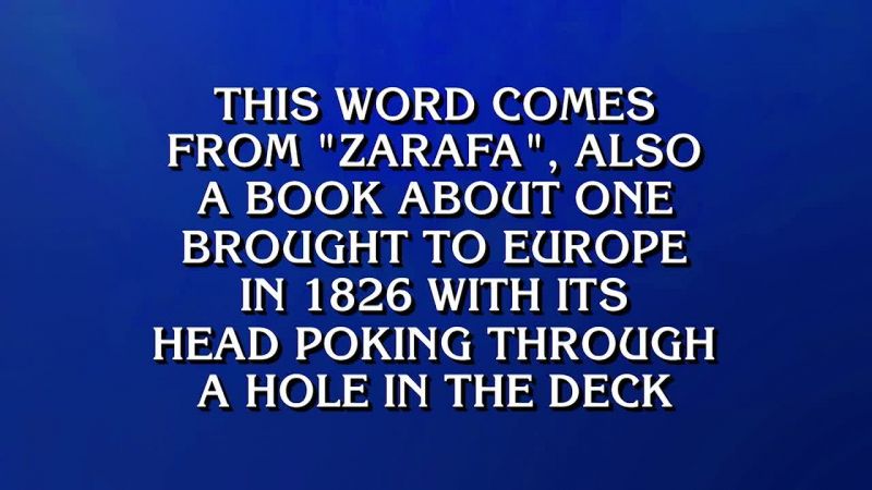 Sam. - What is giraffe?