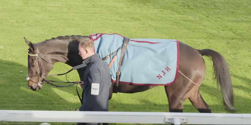 Sandown Park has always been a favourite racecourse