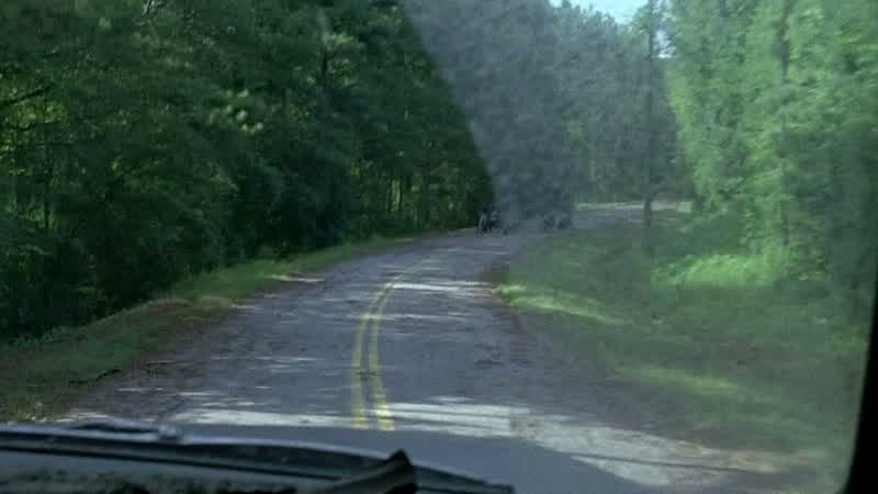 Sasha: Daryl