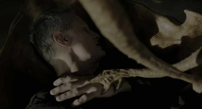 Saul, darling