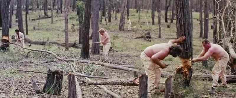 (sawing and hacking)