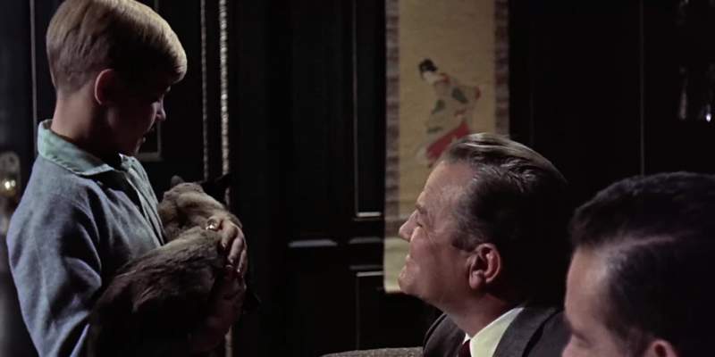 Say do you know Peter Gunn