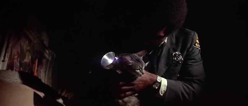 Say, kitty, almost missed you