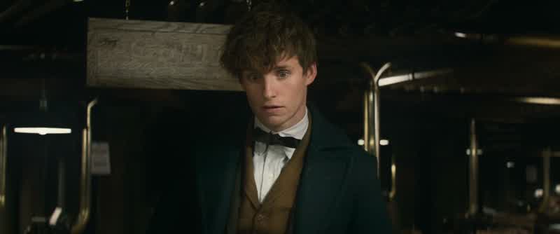 Scamander