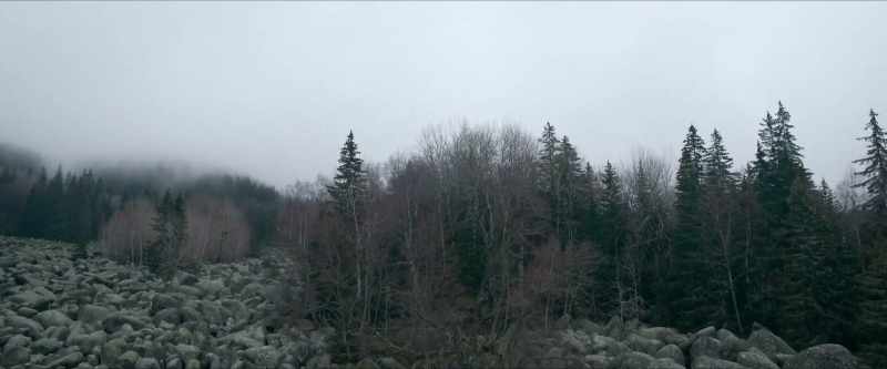 Scarce animals. Shonokins. Mountain spirits