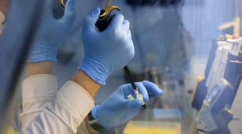 Science is... is great, marvelous