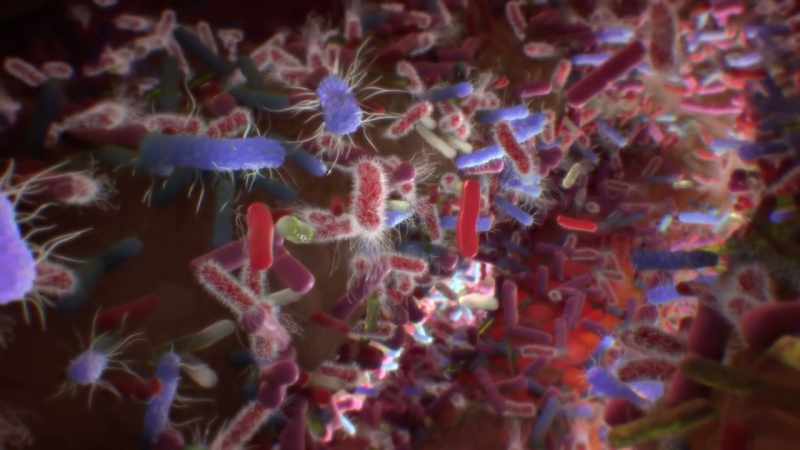 Scientists estimate we have over 10 trillion bacteria in our gut