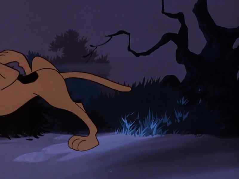 Scooby, come back! Wait!