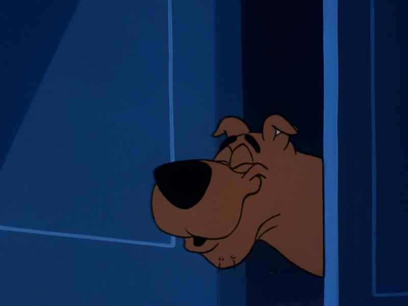 Scooby-Doo!
