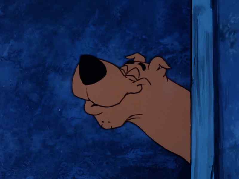 Scooby-Doo!