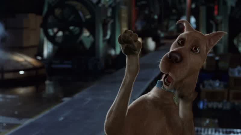 Scooby-Doo, what are you doing, man?