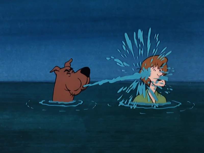 Scooby Doo Where are you