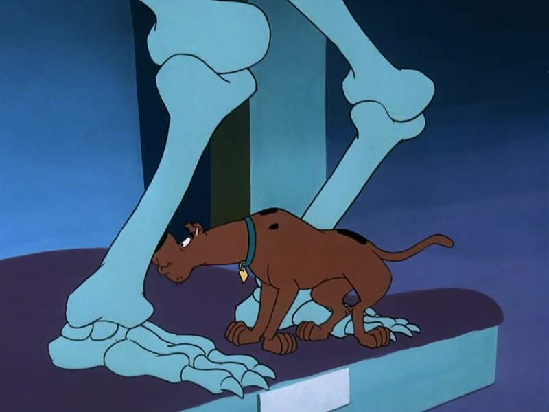 Scooby Dooby Doo