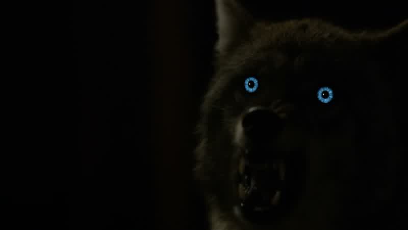 Scott, you're the Alpha