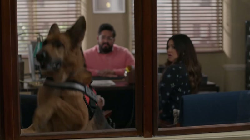 [Scout barks]