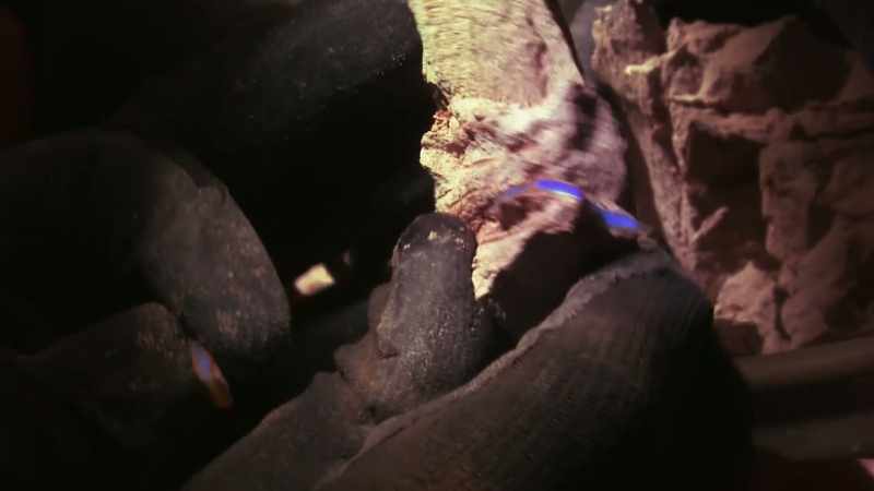 Scratching for opal in long abandoned mines