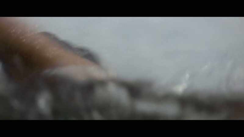 ( screaming ) - Dan Rather: The blockbuster movie
