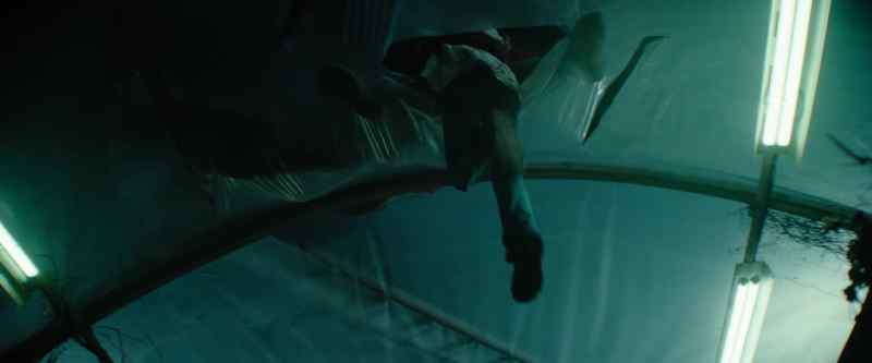 (Screaming)