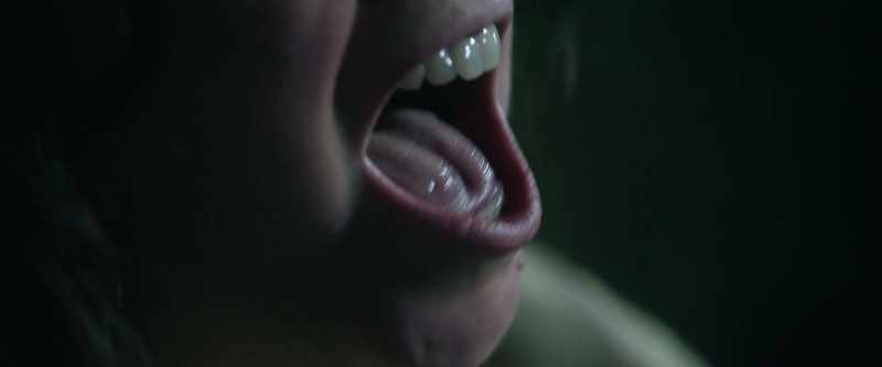 [ Screaming ]