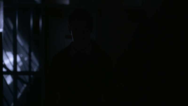 [SCREAMING] - [SNARLING]