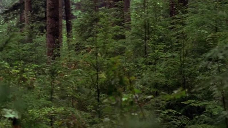 Scully, I lost it!